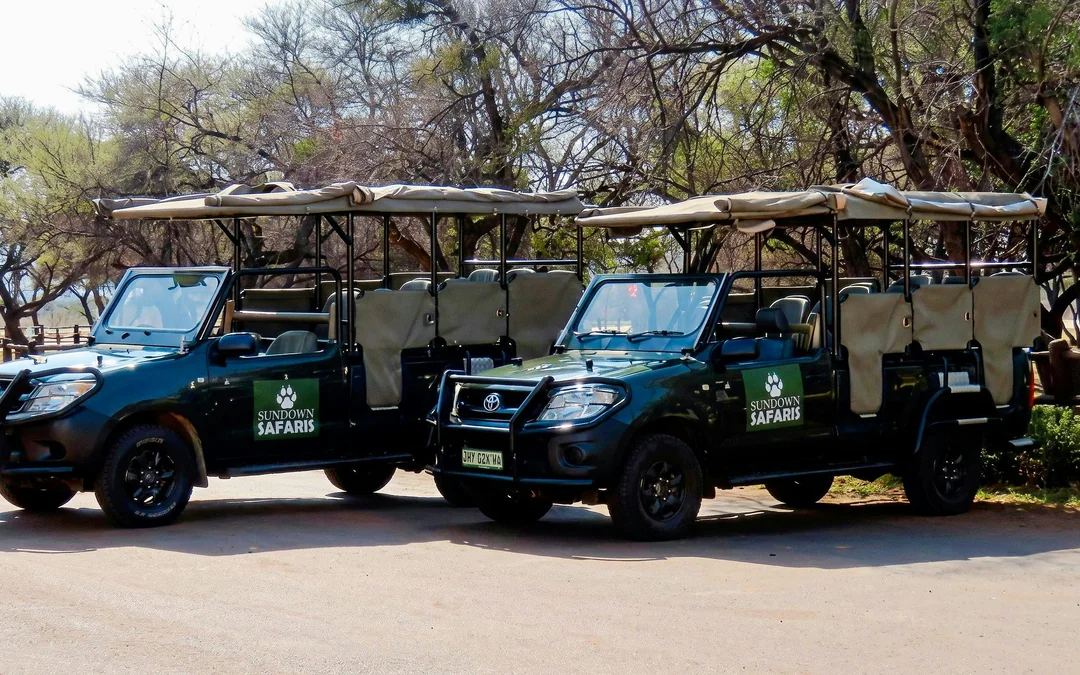 From Sun City: 3-Hour Private Game Drive in Pilanesberg National Park Image 4