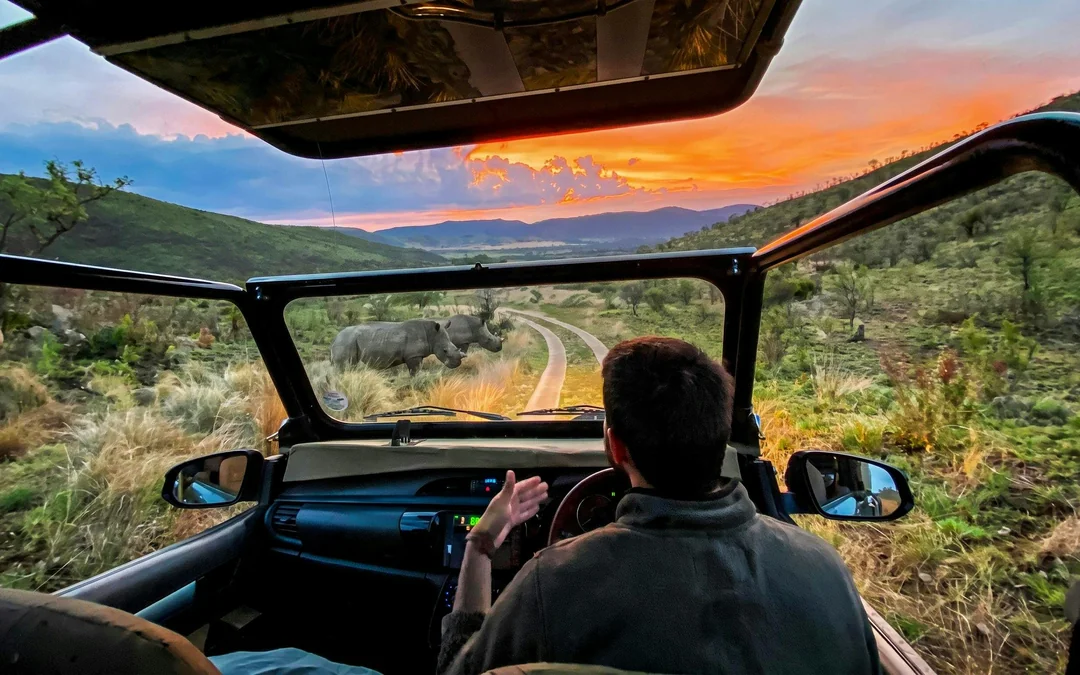 From Sun City: 3-Hour Private Game Drive in Pilanesberg National Park Image 5
