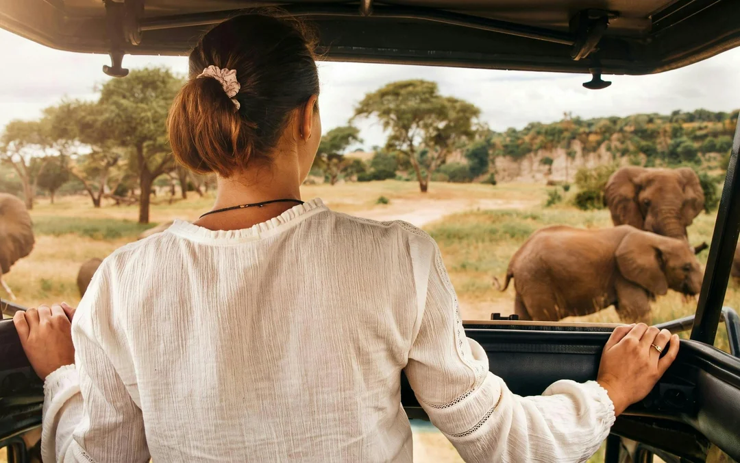 From Sun City: 3-Hour Private Game Drive in Pilanesberg National Park Image 10