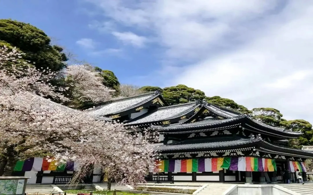 From Tokyo: Kamakura and Enoshima Guided Day Trip Image 3