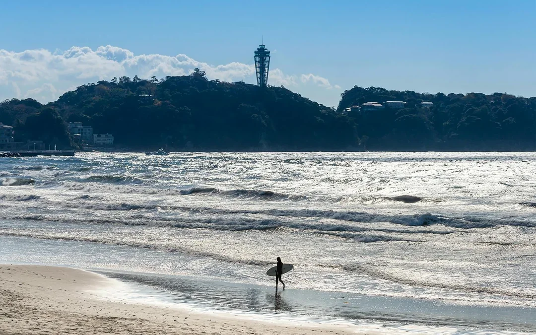 From Tokyo: Kamakura & Hasedera Day Trip with Kotoku In Temple, Enoshima, Enoden Train, & More Image 10