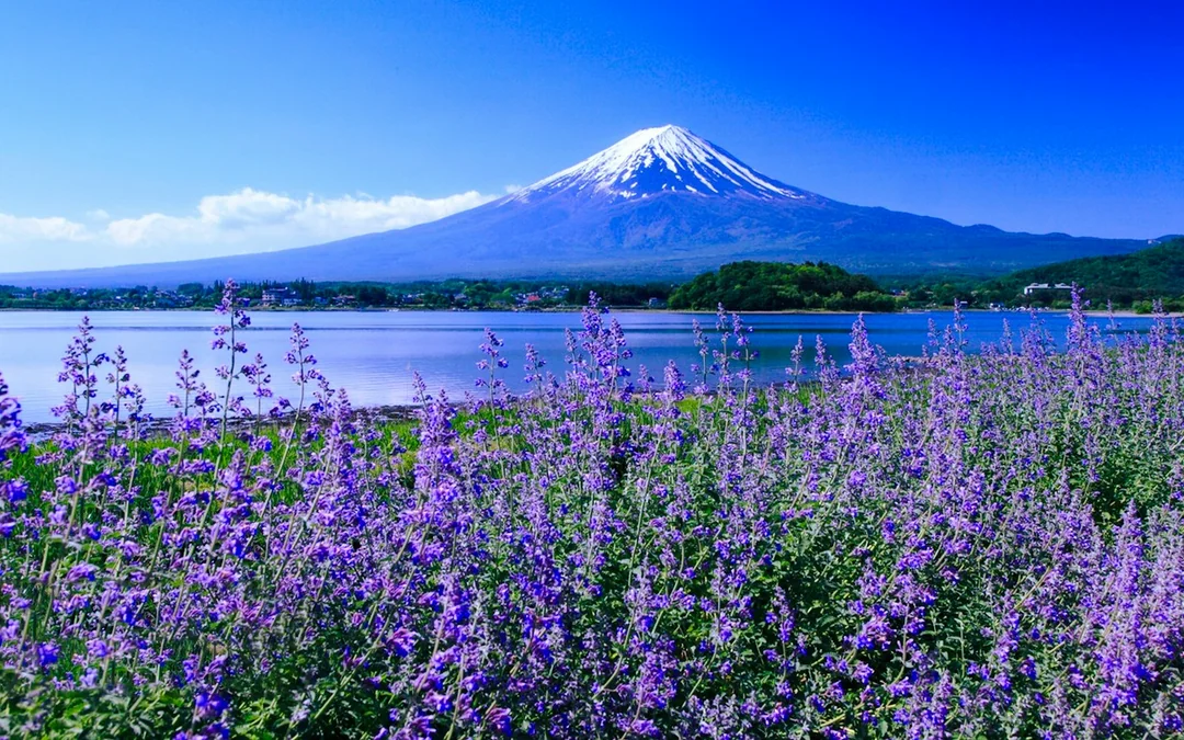 From Tokyo: Lake Kawaguchi Ropeway and Arakurayama Sengen Park Tour Image 6