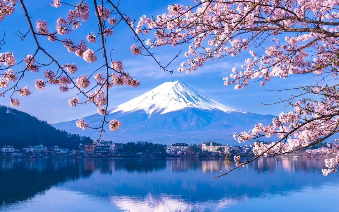 From Tokyo: Mt. Fuji Area & Lake Kawaguchiko Full-Day Tour Image 1