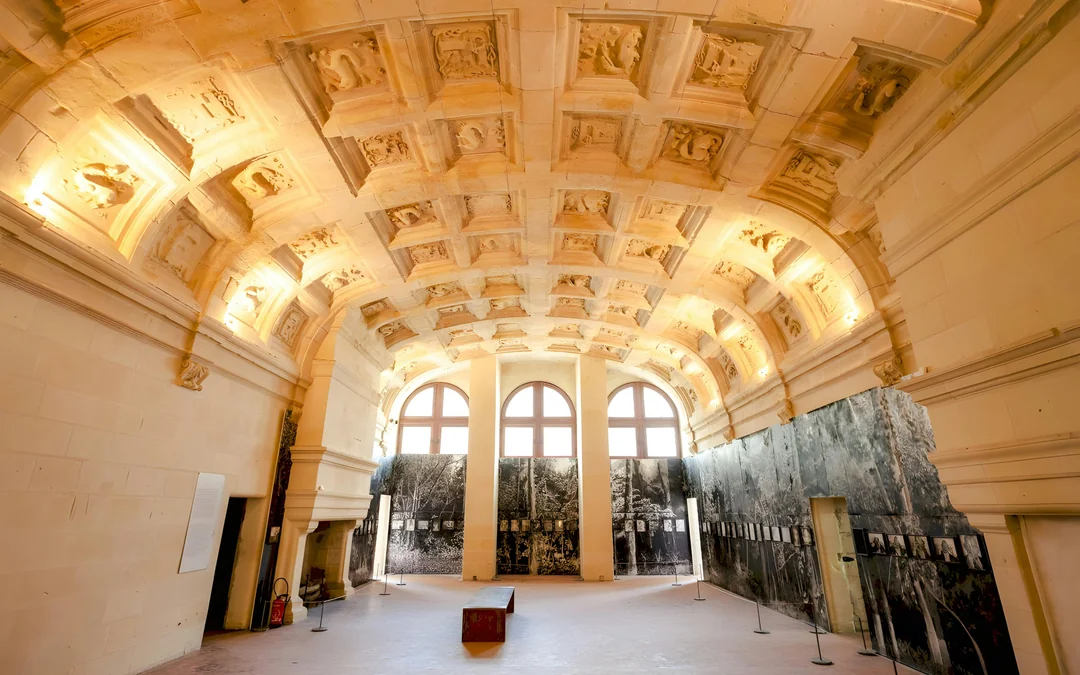 From Tours: Chambord Castle Private Half-Day Guided Tour Image 2
