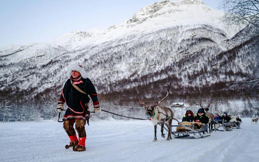 From Tromsø: Reindeer Sledding and Sami Culture Tour with Lunch and Hot Drinks Image 1