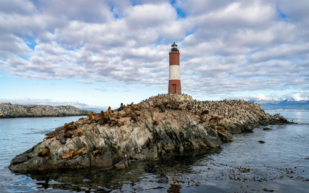 From Ushuaia: Beagle Channel Cruise Image 3