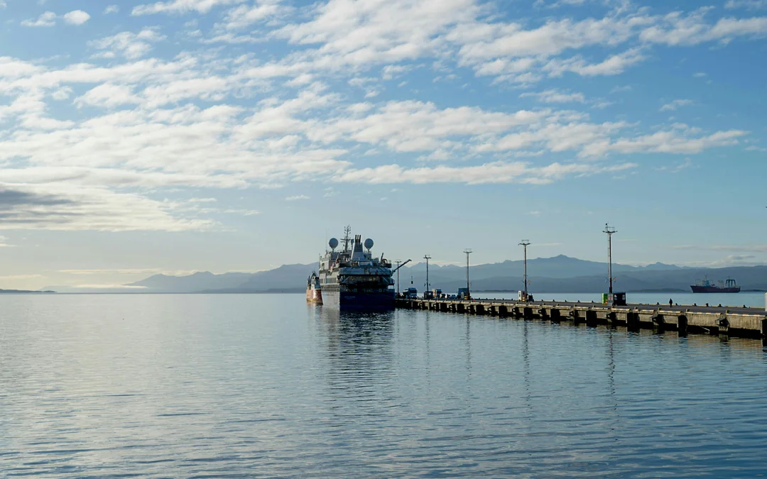 From Ushuaia: Beagle Channel Cruise Image 8
