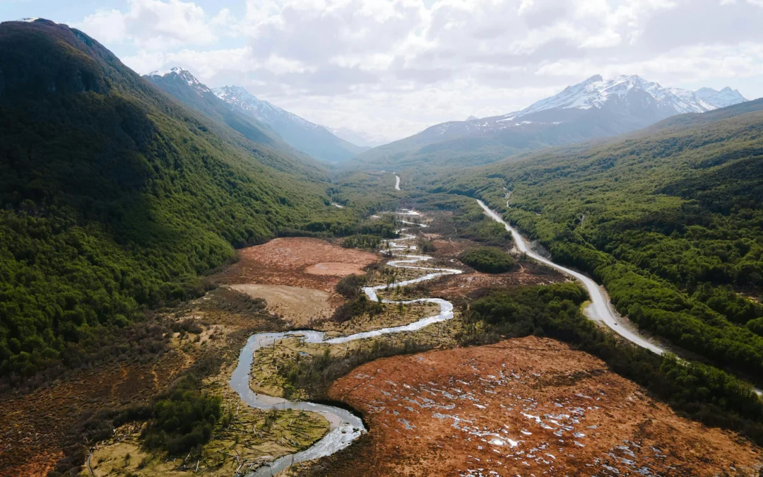 From Ushuaia: Escondido & Fagnano Lakes Tour Image 2