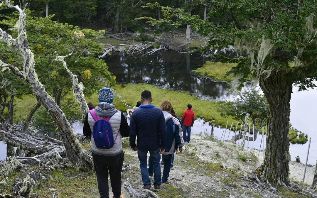 From Ushuaia: Escondido & Fagnano Lakes Tour Image 3
