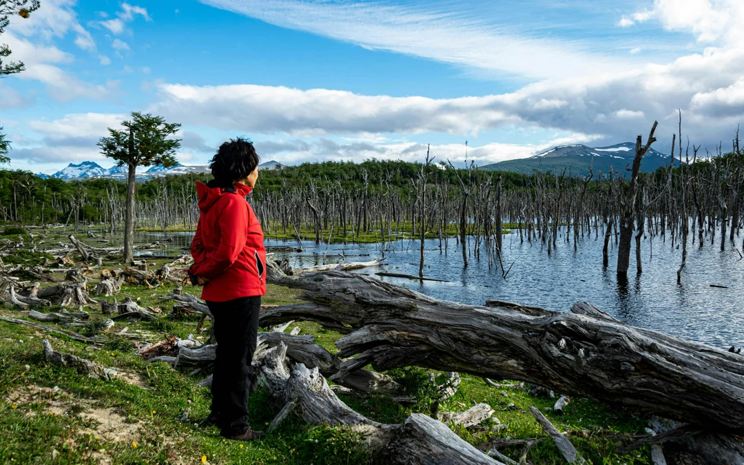 From Ushuaia: Escondido & Fagnano Lakes Tour Image 4