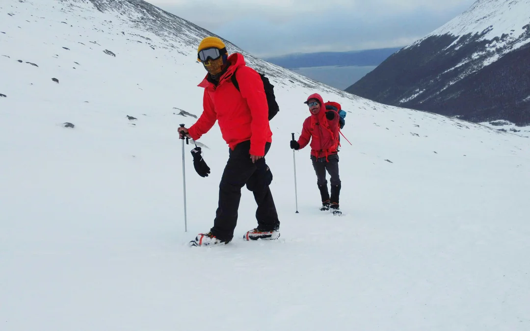 From Ushuaia: Martial Glacier Tour Image 5