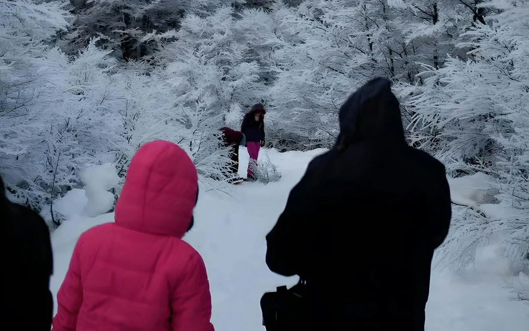 From Ushuaia: Snow Experience with Snowmobile & Husky Sled Image 2