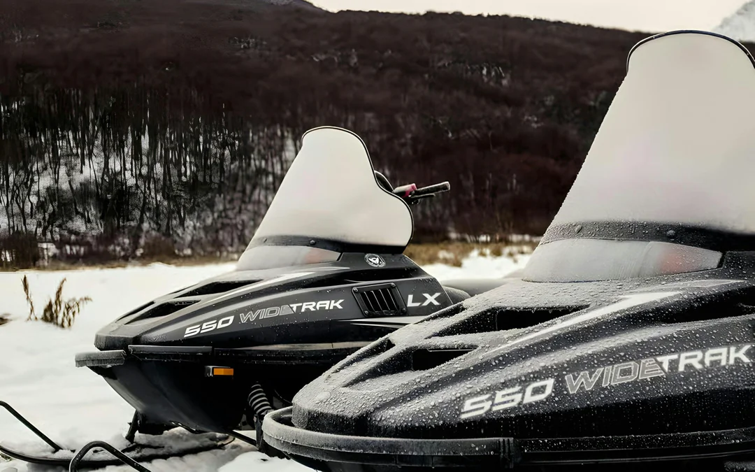 From Ushuaia: Snow Experience with Snowmobile & Husky Sled Image 4