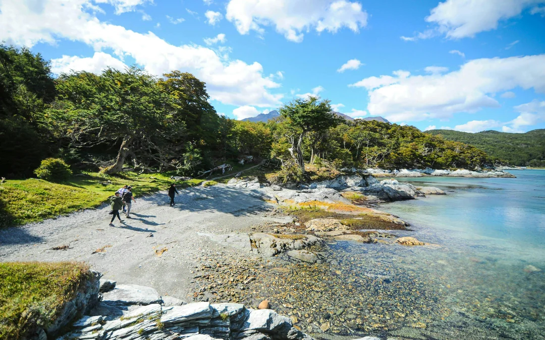 From Ushuaia: Tierra del Fuego National Park Tour Image 2