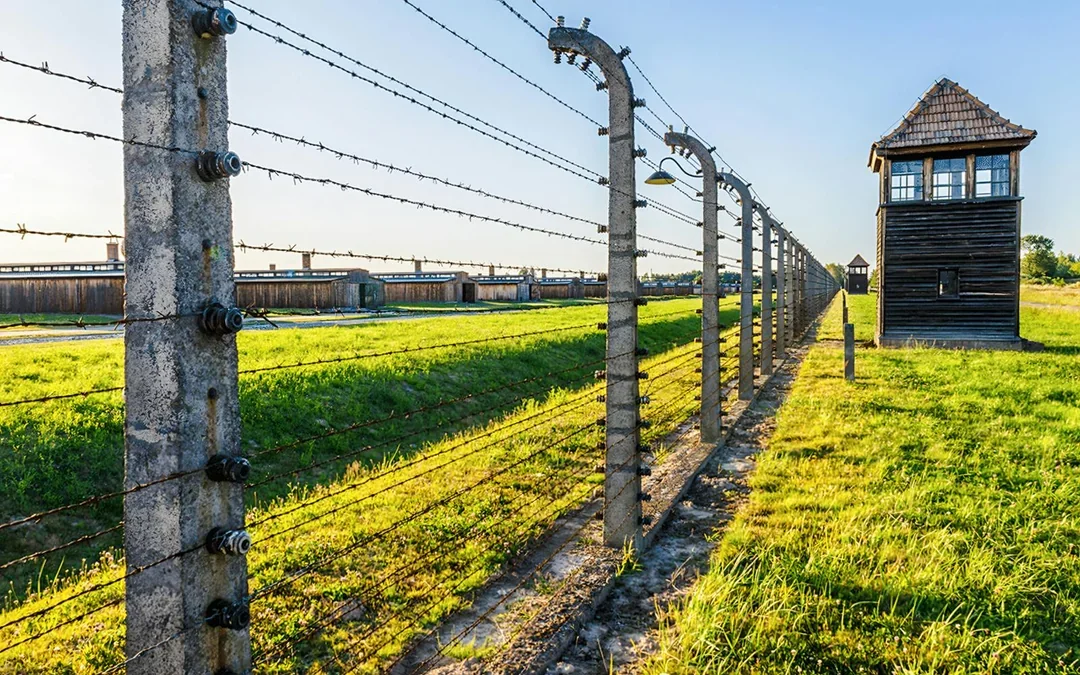 From Wroclaw: Auschwitz Birkenau Guided Tour with Transfers Image 2