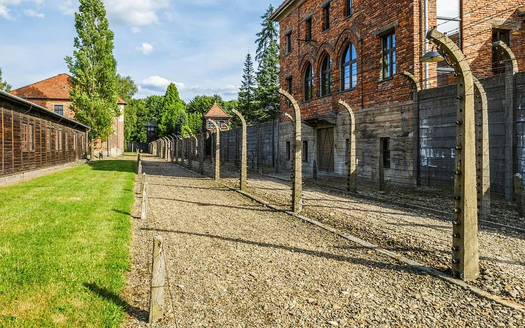 From Wroclaw: Auschwitz Birkenau Guided Tour with Transfers Image 9