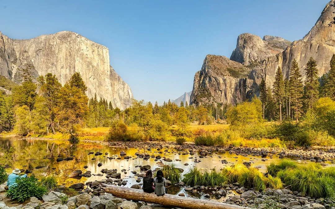 From Yosemite: San Francisco One-Way Tour with Giant Sequoias Hike Image 1
