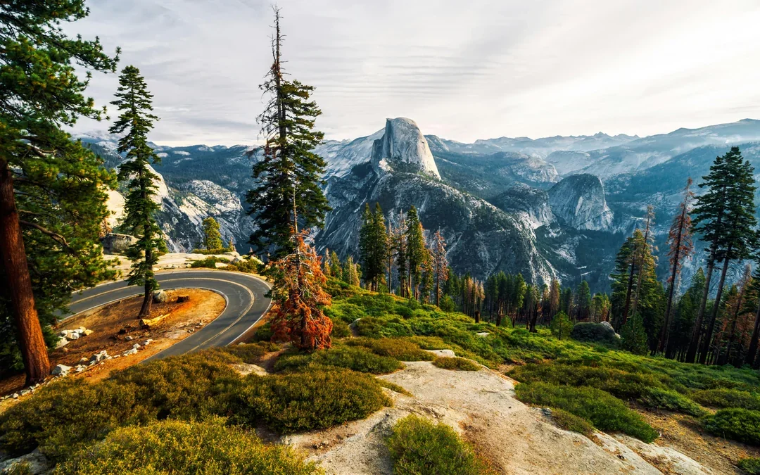 From Yosemite: San Francisco One-Way Tour with Giant Sequoias Hike Image 3