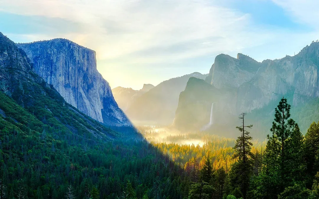 From Yosemite: San Francisco One-Way Tour with Giant Sequoias Hike Image 4
