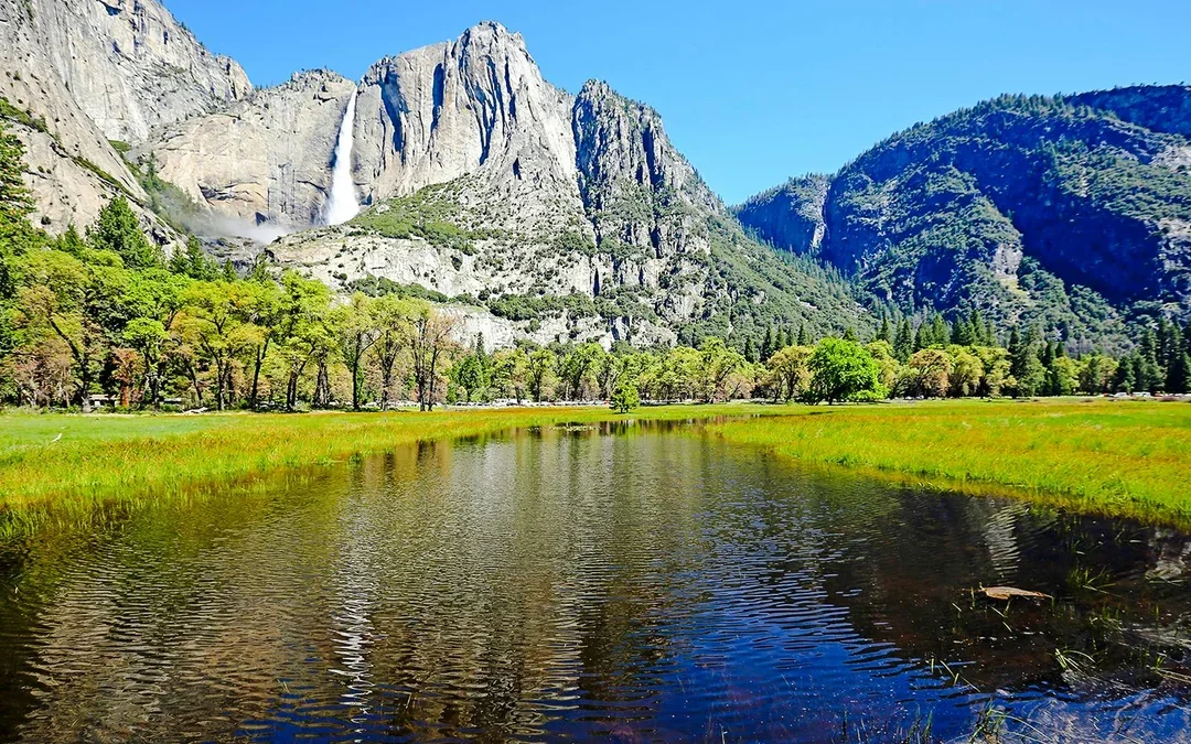 From Yosemite: San Francisco One-Way Tour with Giant Sequoias Hike Image 7
