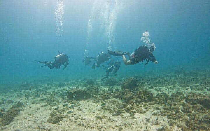Fujairah Certified Diver Guided Dives at East Coast Sites with Tanks, Weights, and Facilities Access Image 3