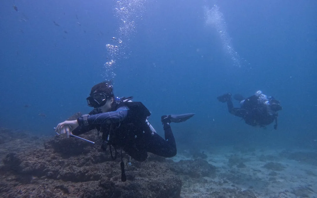 Fujairah PADI Advanced Open Water Course Image 2