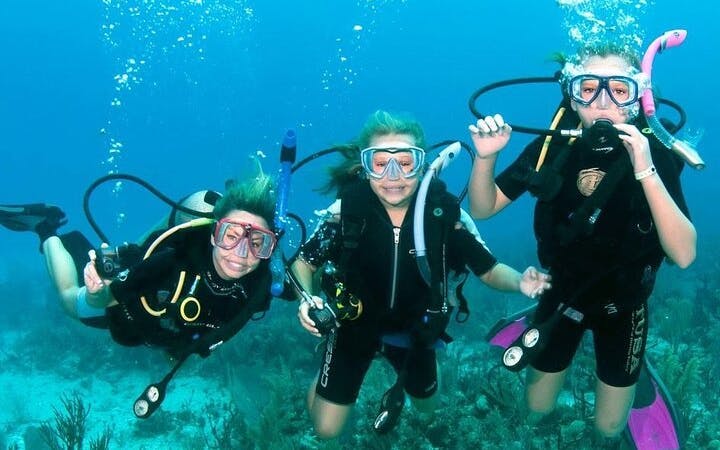 Fujairah PADI Basic Scuba Diver Course with Professional Instruction and Scuba Equipment Image 2