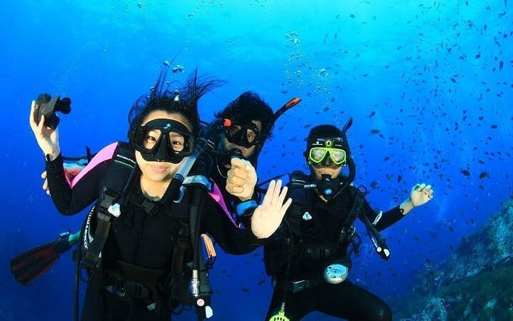 Fujairah PADI Basic Scuba Diver Course with Professional Instruction and Scuba Equipment Image 4