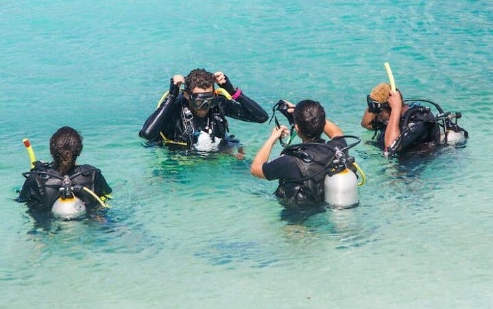 Fujairah PADI Basic Scuba Diver Course with Professional Instruction and Scuba Equipment Image 6