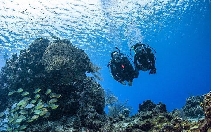 Fujairah PADI Open Water Diver Course Image 5