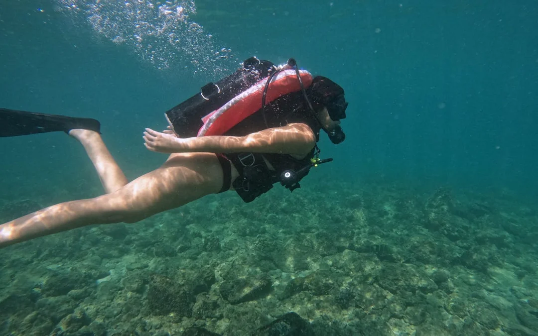 Fujairah Scuba Diving and Snorkeling Experience with Equipment and Underwater Photos Image 1