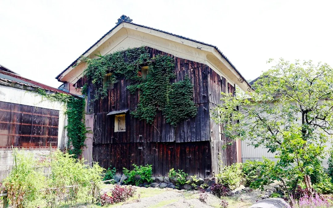 Fukui: Kitazen Shoten Sake Brewery Tour and Tasting Image 4