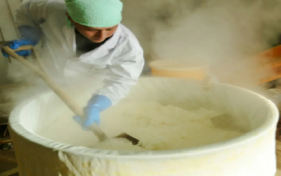 Fukui Tanabe Shuzo Sake Brewery Tour and Tasting Image 2