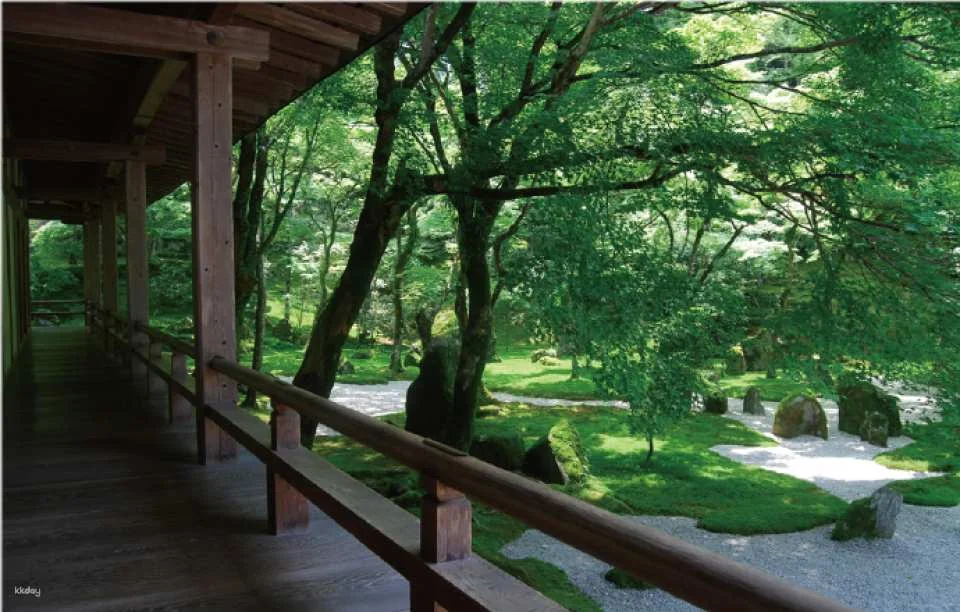 Fukuoka Nishitetsu｜Dazaifu Tenmangu Shrine + Yanagawa Cruise Sightseeing Package｜Fukuoka Airport International Terminal Pickup