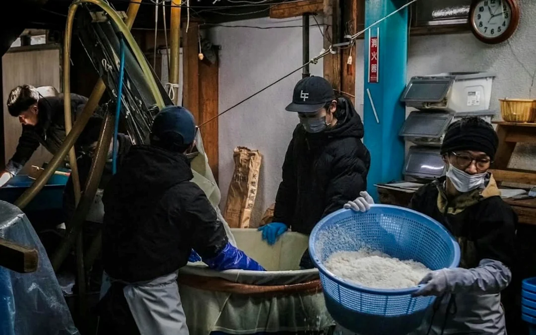 Fukushima: Toyokuni Sake Brewery Tour and Tasting Image 2