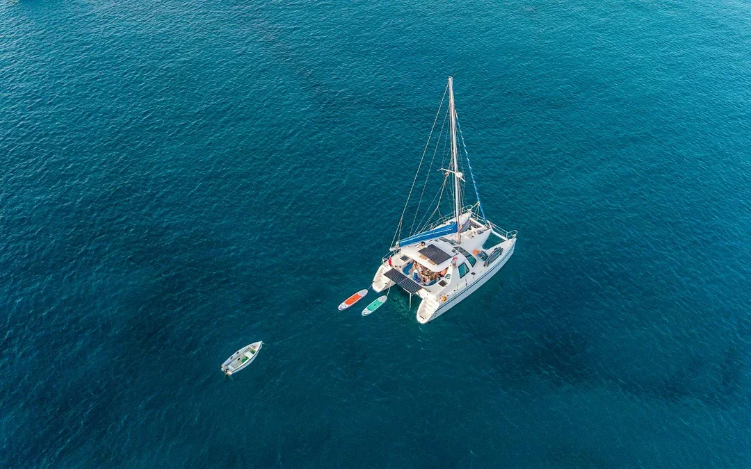 Full-Day Castaway Island Small Group Cruise by High Speed Catamaran including Lunch & Hotel Transfers Image 12