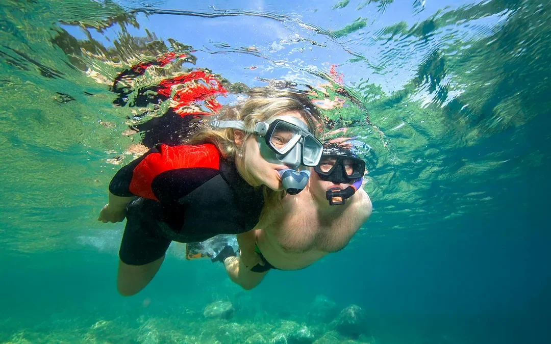 Full-Day Castaway Island Small Group Cruise by High Speed Catamaran including Lunch & Hotel Transfers Image 3