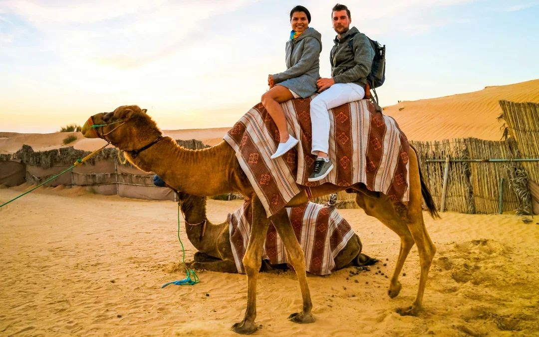 Full-Day Doha City Tour & Desert Safari with Camel Ride & Inland Sea Visit Image 12