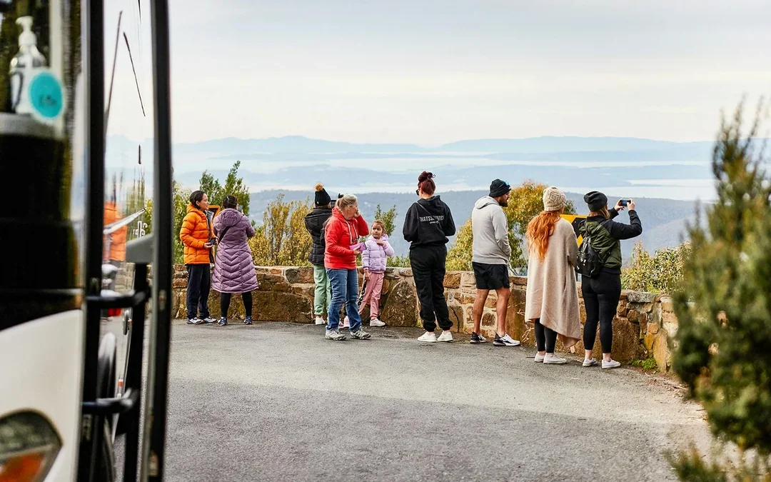 Full-Day Guided Tour of Mt Wellington with Tickets to MONA Image 3