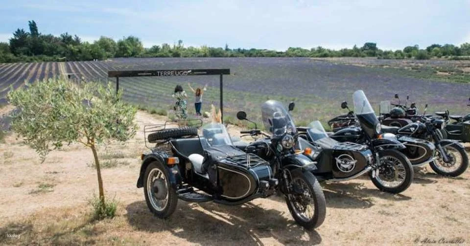 Full-day wine & beer tour in Provence