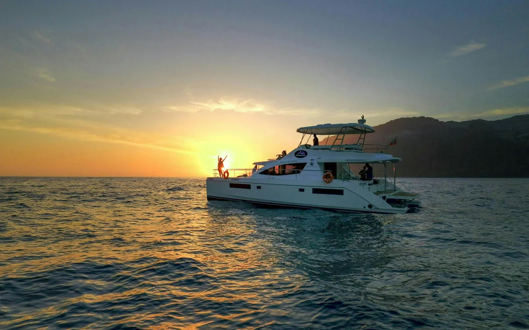Funchal Small-Group Luxury Catamaran Dolphin & Whale Watching Image 10