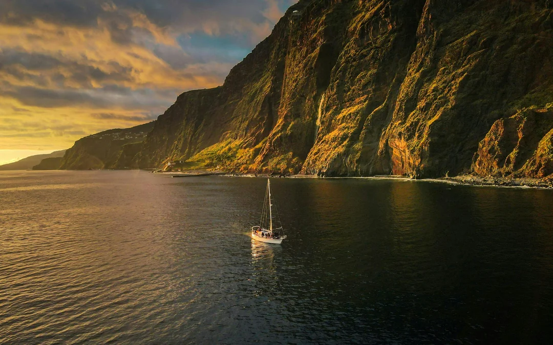 Funchal Sunset Sailing Dolphin & Whale Watching Image 1