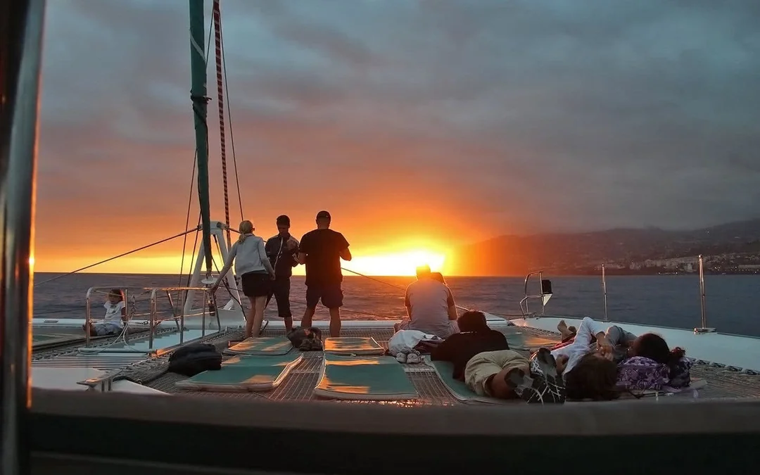 Funchal Sunset Sailing Dolphin & Whale Watching Image 2