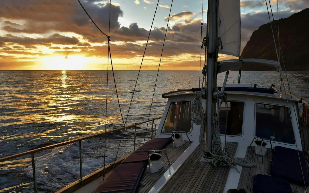 Funchal Sunset Sailing Dolphin & Whale Watching Image 9