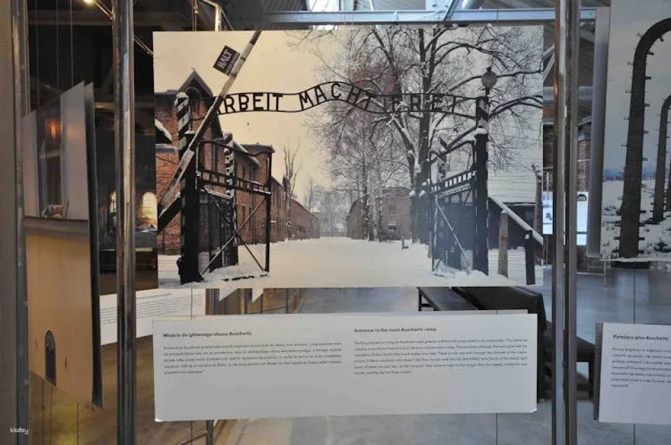 Galicja Jewish Museum skip-the-line tickets