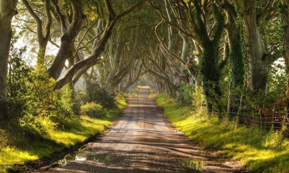 Game of Thrones tour with Giant’s Causeway from Belfast