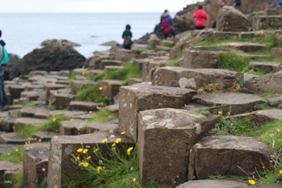 Game of Thrones tour with Giant’s Causeway from Belfast