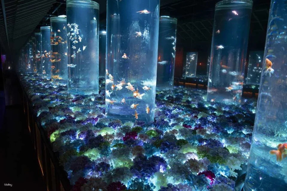 Ginza Art Aquarium + Tokyo Metro 24-Hour Pass