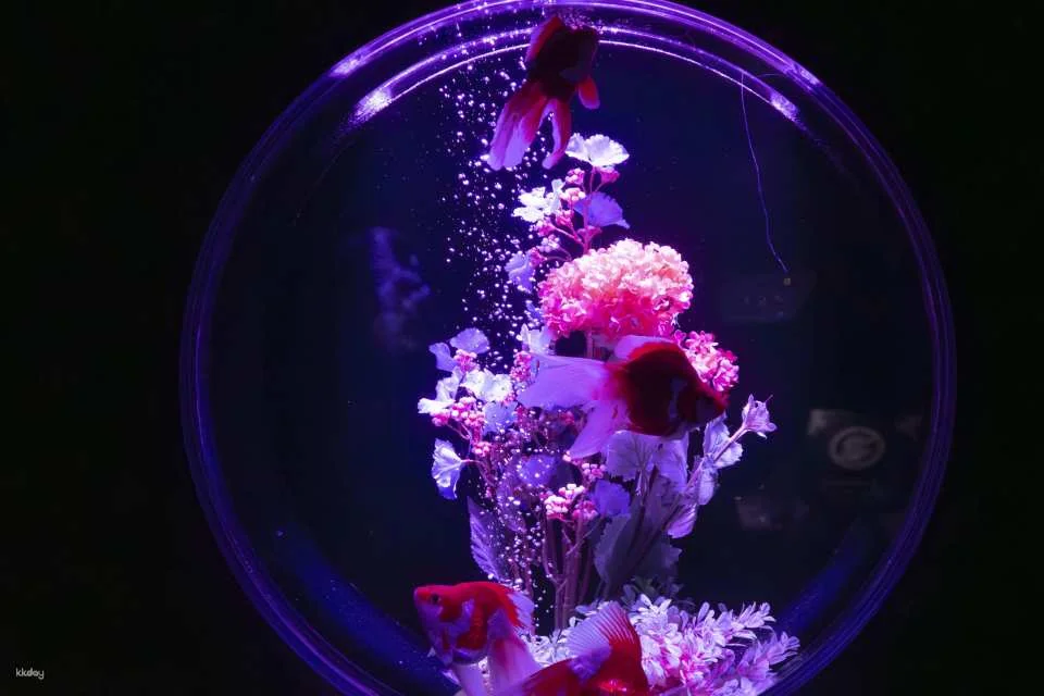 Ginza Art Aquarium + Tokyo Metro 24-Hour Pass