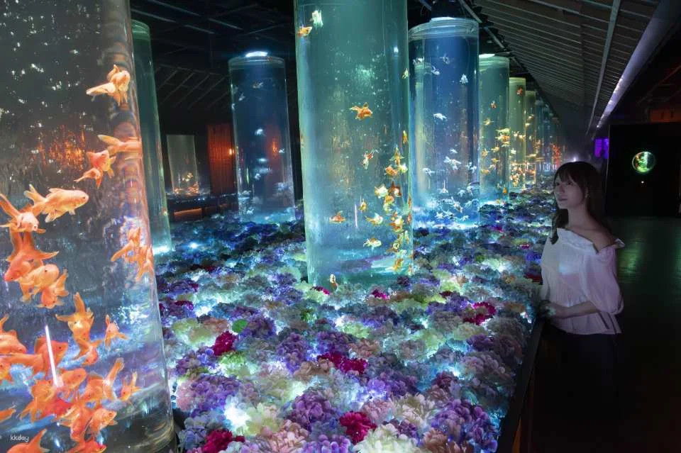 Ginza Art Aquarium + Tokyo Metro 24-Hour Pass